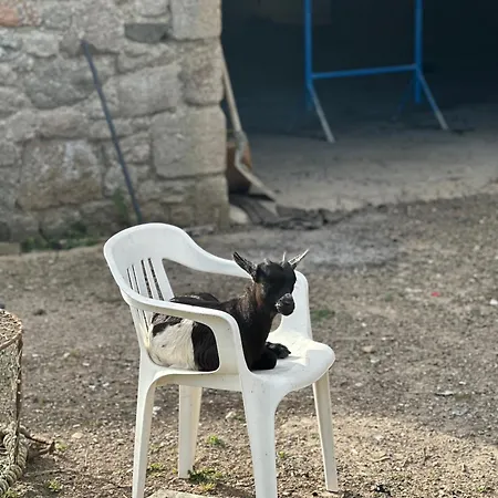 Les Jardins De Apart Otel