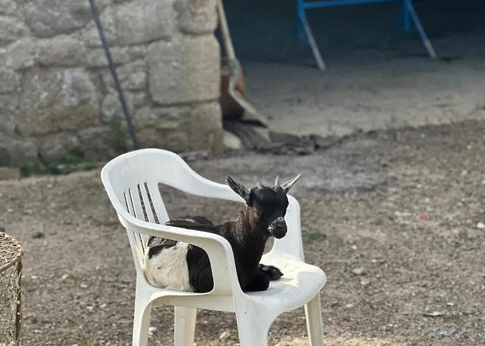 Les Jardins De Aparthotel